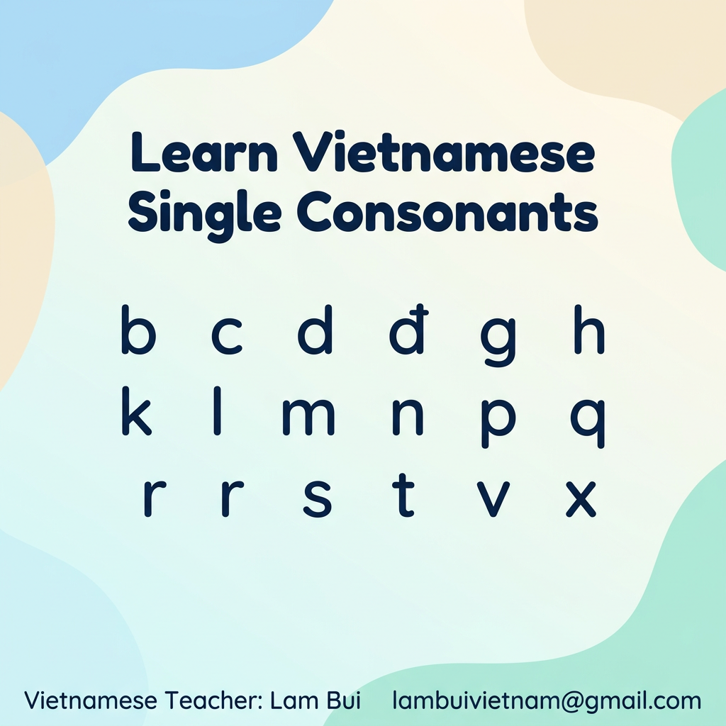 Learn Vietnamese Single Consonants